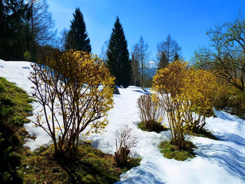 Romantikhotel Die Gersberg Alm Salzburg Bagian luar foto