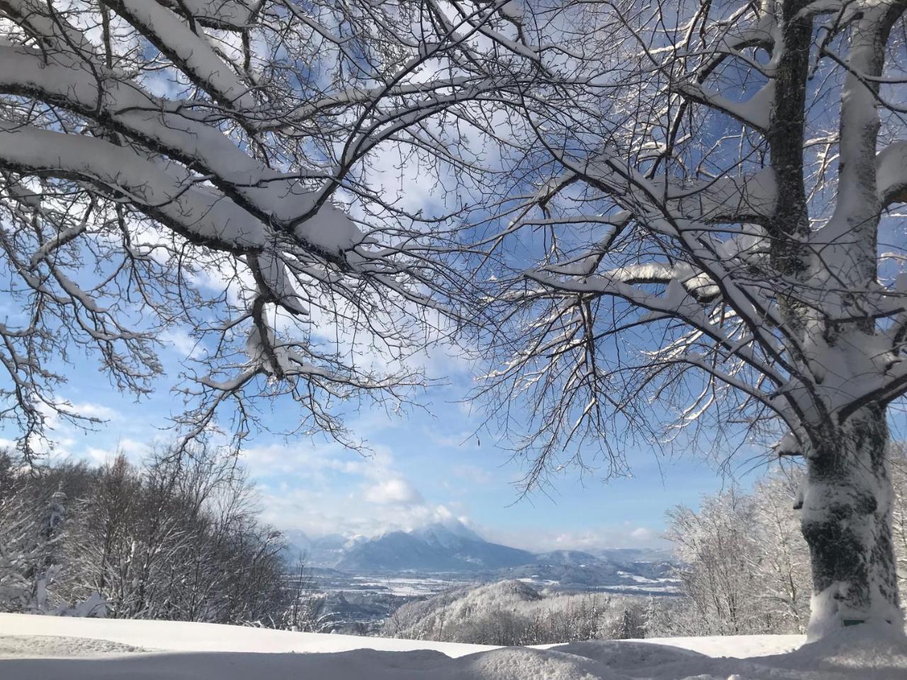 Romantikhotel Die Gersberg Alm Salzburg Bagian luar foto